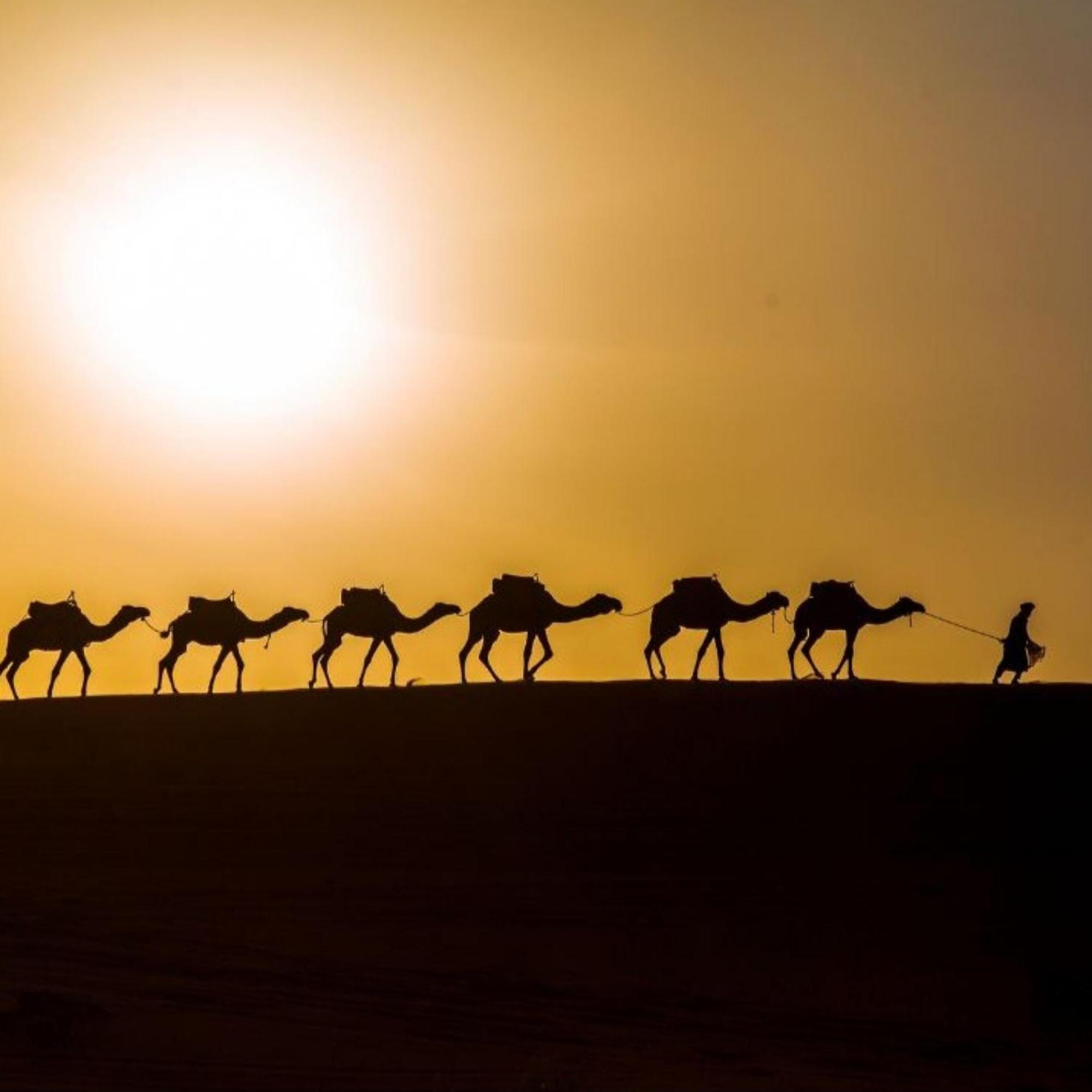 Erg Chebbi Romantic Desert Camp 메르주가 외부 사진